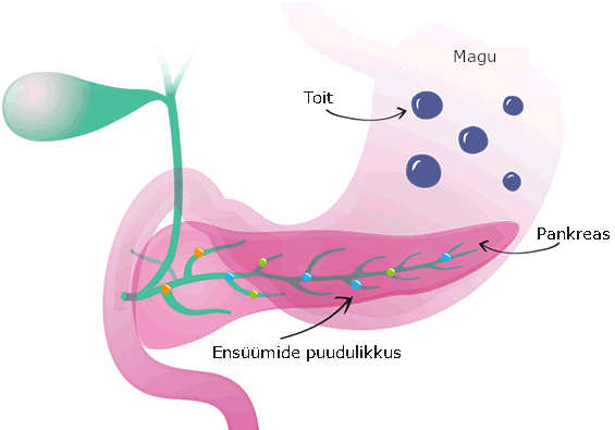 Mao ja kõhunäärme illustratsioon